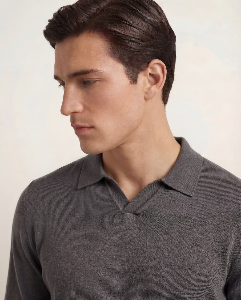Capri | Men's 100% Merino Wool Long Sleeve Buttonless Polo