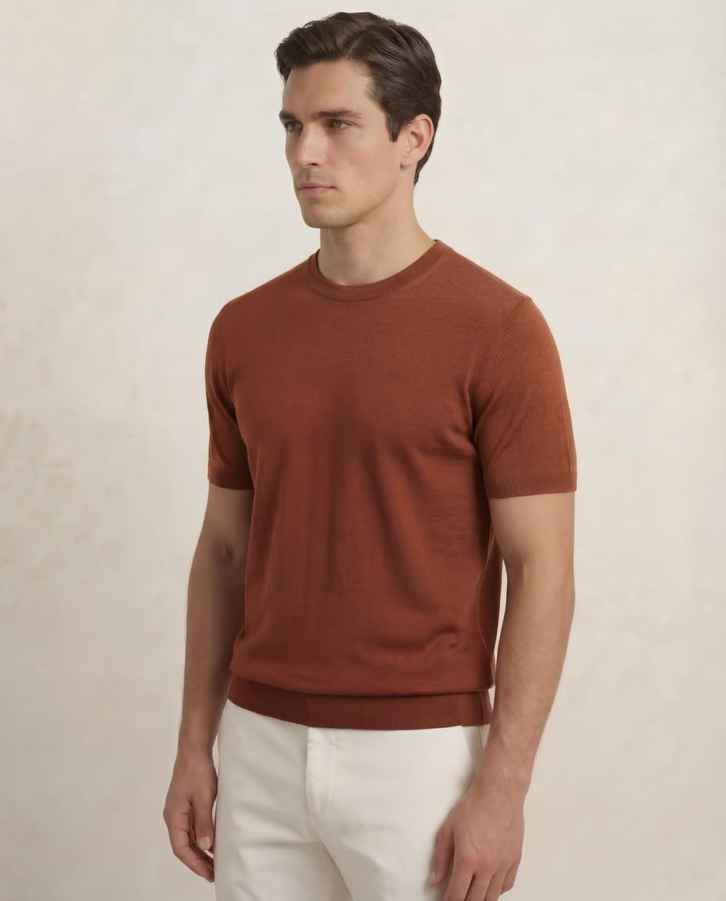 Pisa | Men's 100% Merino Wool Shorts Sleeve Breathable T-Shirt
