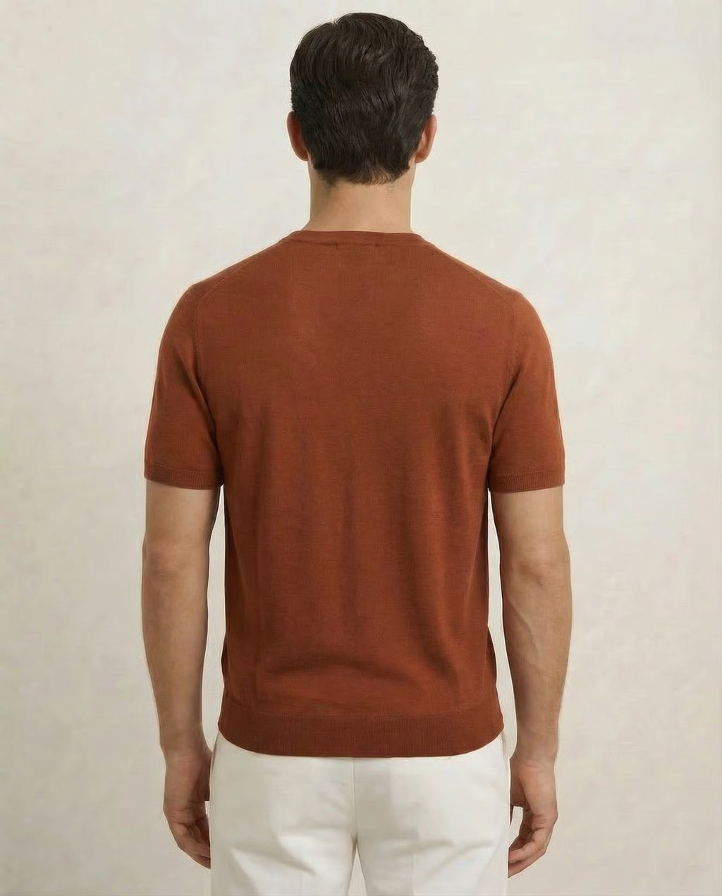 Pisa | Men's 100% Merino Wool Shorts Sleeve Breathable T-Shirt